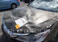 2017 Honda Accord фото