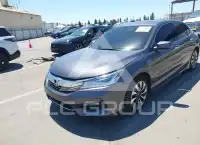2017 Honda Accord photo