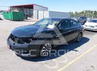 2017 Honda Accord фото