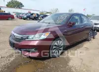 2017 Honda Accord photo