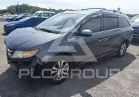 2017 Honda ODYSSEY photo