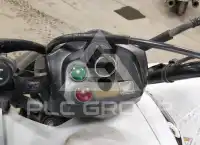 2017 Honda TRX250 фото
