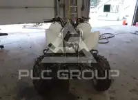 2017 Honda TRX250 фото