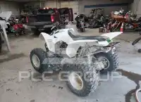 2017 Honda TRX250 фото