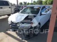 2017 Toyota COROLLA photo