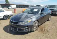 2017 KIA Optima фото