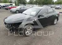 2017 KIA Optima фото