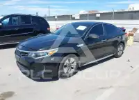 2017 KIA Optima фото