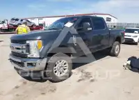 2017 Ford F-250 photo