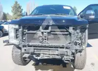 2017 Ford F-250 photo