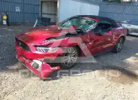 2017 Ford MUSTANG photo