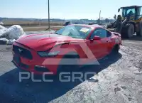 2017 Ford MUSTANG photo