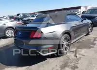 2017 Ford MUSTANG photo