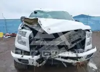 2017 Ford F-150 photo