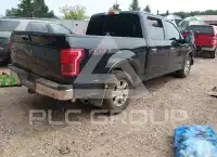 2017 Ford F-150 фото
