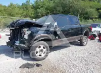 2017 Ford F-150 фото