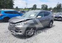 2017 Hyundai Santa Fe фото