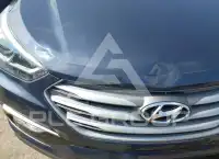 2017 Hyundai Santa Fe фото