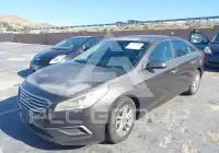 2017 Hyundai Sonata photo