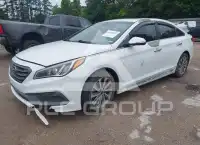 2017 Hyundai Sonata фото
