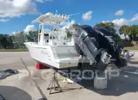 2018 Others Other photo