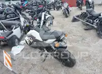 2018 Honda GROM photo