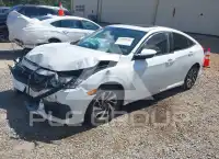 2018 Honda CIVIC photo