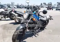2018 Honda CMX500 photo
