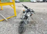 2018 Honda CMX500 фото
