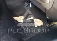 2018 Jeep COMPASS photo