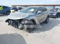 2018 Lexus NX300 фото