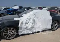 2018 Ford MUSTANG фото