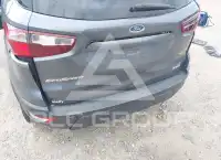 2018 Ford Eco Sport фото