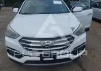2018 Hyundai Santa Fe фото