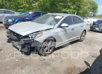 2018 Hyundai Sonata фото