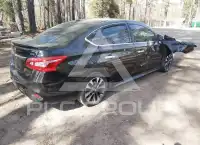 2019 Nissan SENTRA фото