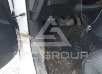 2019 Nissan SENTRA фото