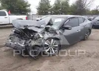 2019 Nissan MAXIMA photo
