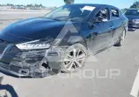2019 Nissan MAXIMA photo