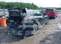 2019 Nissan MAXIMA photo