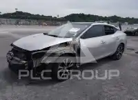 2019 Nissan MAXIMA photo
