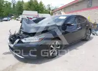 2019 Nissan MAXIMA фото