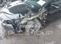 2019 Nissan MAXIMA фото
