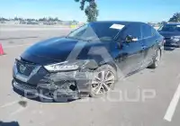 2019 Nissan MAXIMA photo