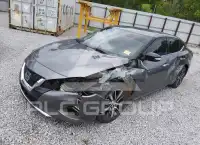 2019 Nissan MAXIMA фото
