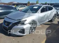2019 Nissan MAXIMA photo