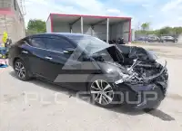 2019 Nissan MAXIMA фото