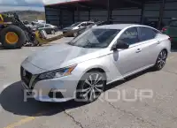 2019 Nissan ALTIMA photo