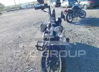 2019 Harley-Davidson XL883 photo