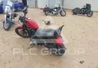 2019 Harley-Davidson XL883 photo